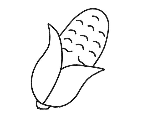 简单的玉米简笔画图片2