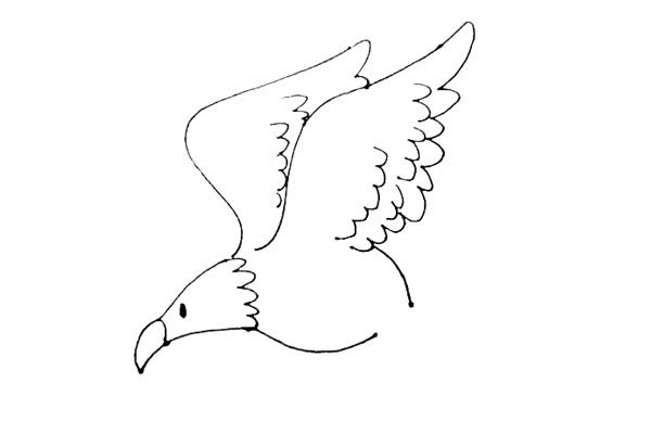 第五步：在老鹰的翅膀里面，画上两三层的波浪线，给翅膀的羽毛增加层次。