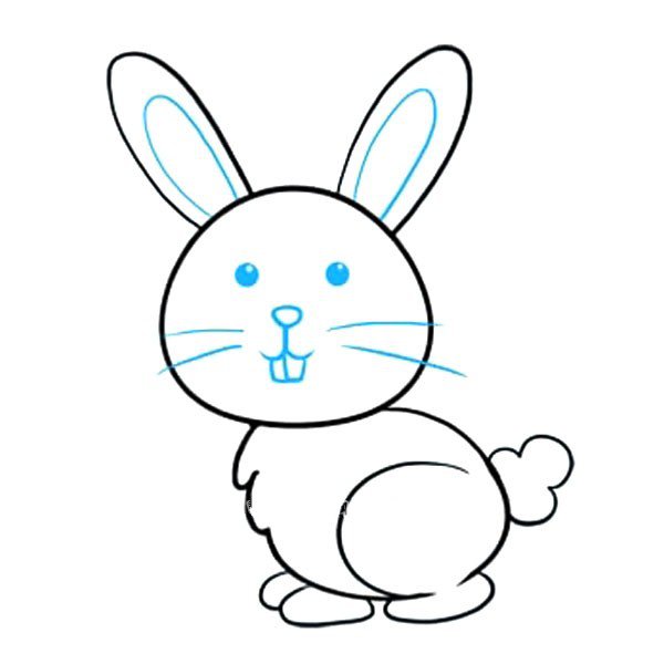9.给兔子的脸和耳朵加上细节。
