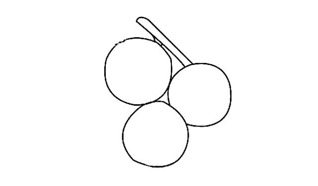 第三步:然后画出与三个山楂相连的枝干,小编见过山楂书,山楂与山楂间长得总是很紧凑。