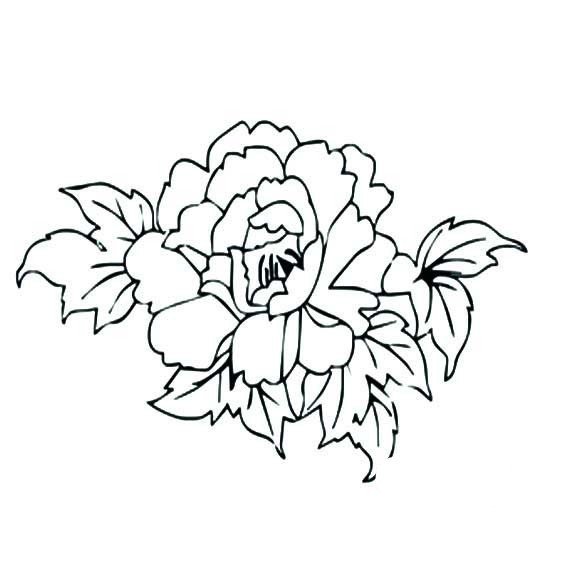 花朵简笔画 关于牡丹花的简笔画图片