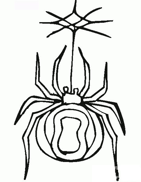 蜘蛛简笔画图片