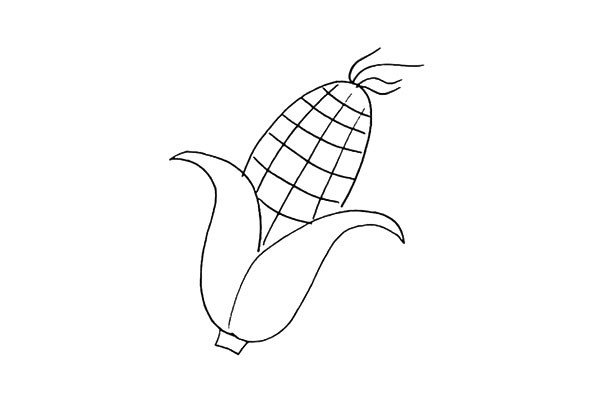 第四步:在果实的顶端用线条画出它的玉米须。