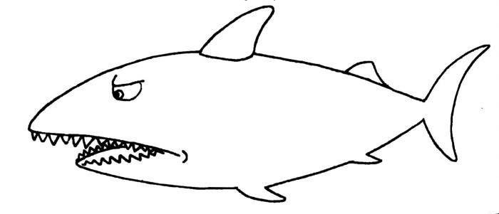 觅食的鲨鱼