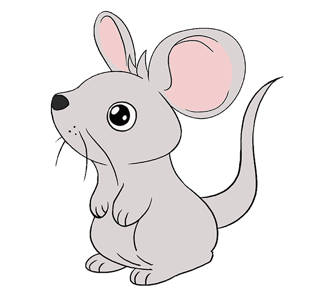 18、给你的老鼠涂上颜色就完成了。建议的颜色方案可以用棕色或灰色，耳朵内部可以用粉红色。