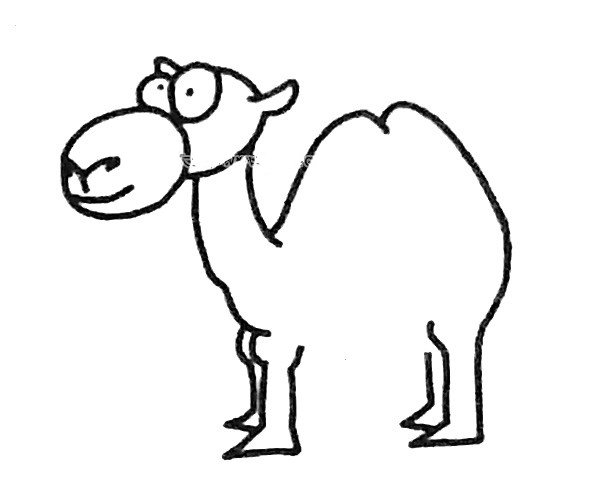 骆驼简笔画步骤3