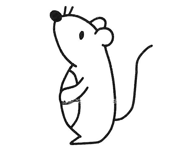 一组可爱的卡通老鼠简笔画