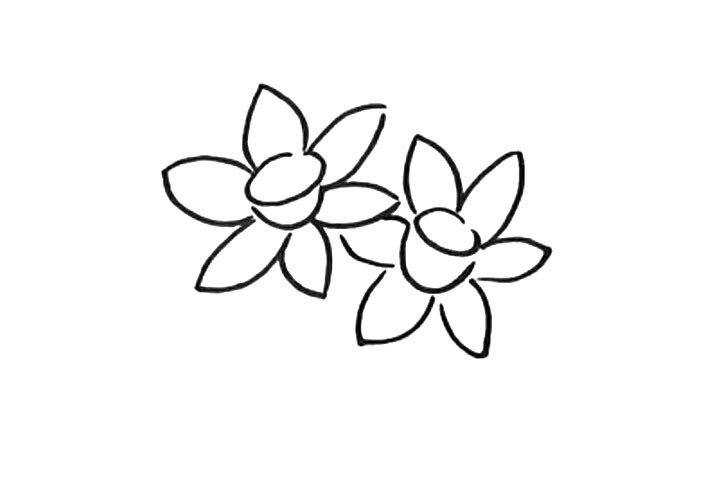3.同样的方法再画出第二朵花。