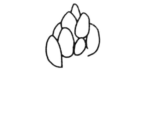 卡通芦笋简笔画步骤2