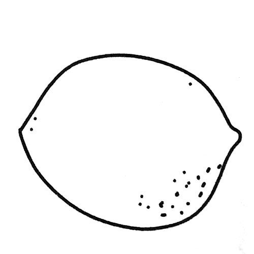 柠檬轮廓简笔画图片3