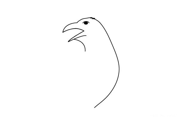 3.接着用一条弧线，画出乌鸦的前胸轮廓。