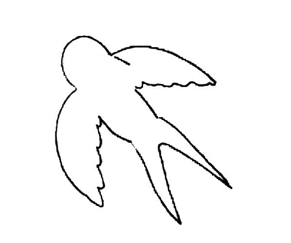 第四步：在身体和翅膀之间，用波浪线将它们连接起来。