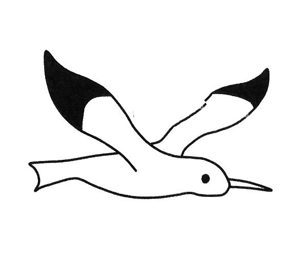 海鸥简笔画图片3