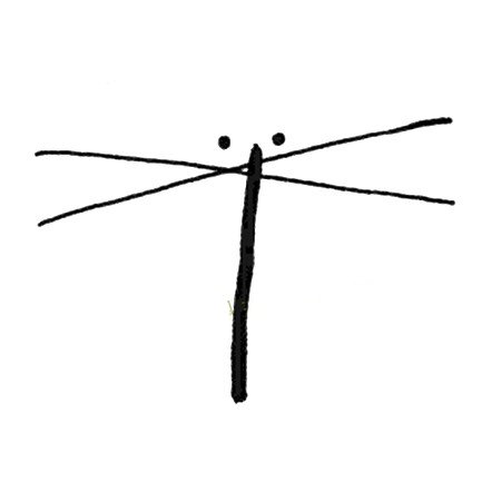 简单的动物简笔画 蜻蜓简笔画图片