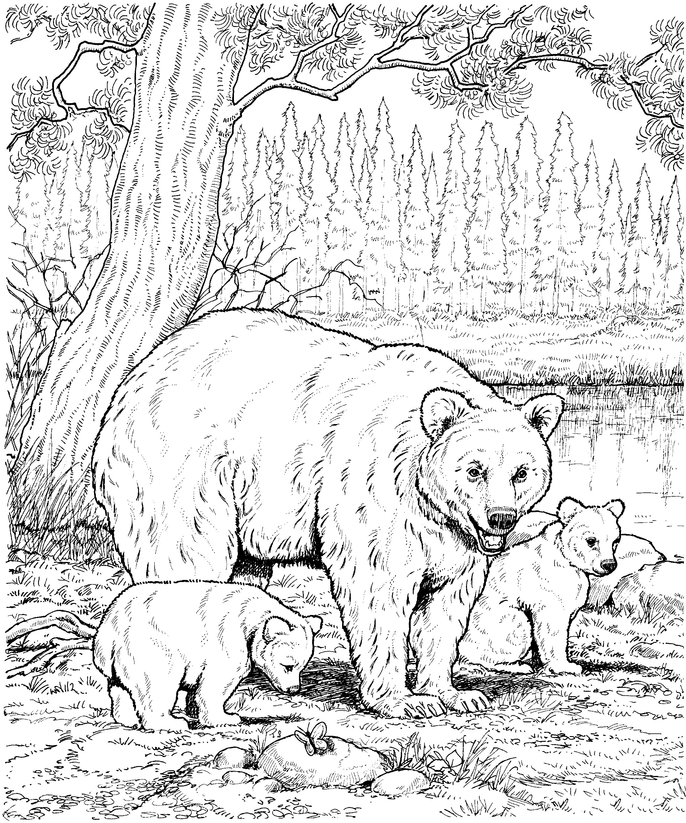 黑熊妈妈和宝宝
