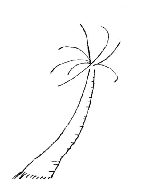 2.画出树干的纹理和叶子的茎，注意风吹的方向。