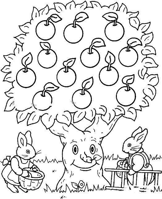 苹果树和兔子