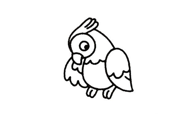 步骤二：接着画上小鹦鹉的身体，小鹦鹉身体胖胖的，有许多羽毛。