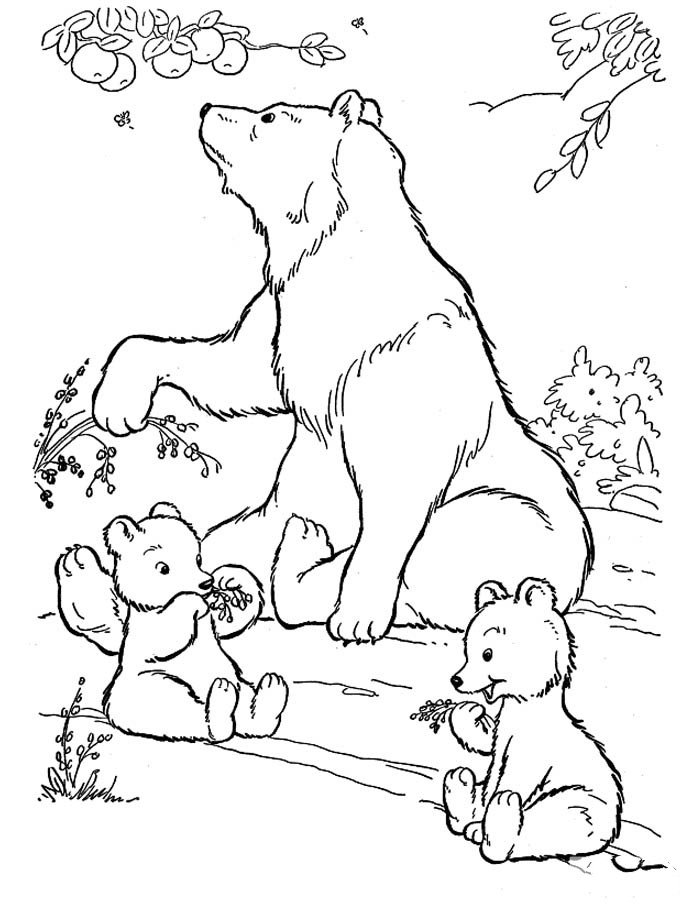 熊妈妈照顾两只小熊
