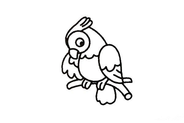 步骤三：然后画上小鹦鹉的尾巴，以及小鹦鹉站的枝丫。