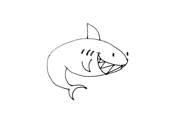 第七步：在鲨鱼的侧面画上它的鱼鳍，嘴的旁边再画上几道小弧线作鲨鱼的结构。