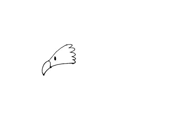 第二步：在弧线的右边用波浪线连起来，再点上老鹰的小眼睛，前面画上一个弯钩的嘴巴。
