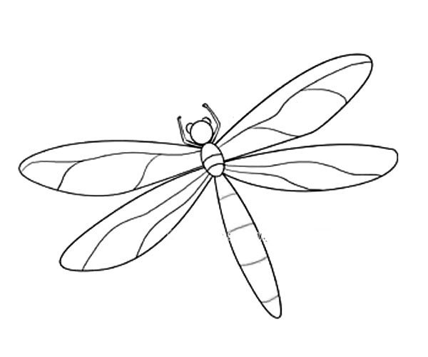 漂亮的蜻蜓简笔画图片1