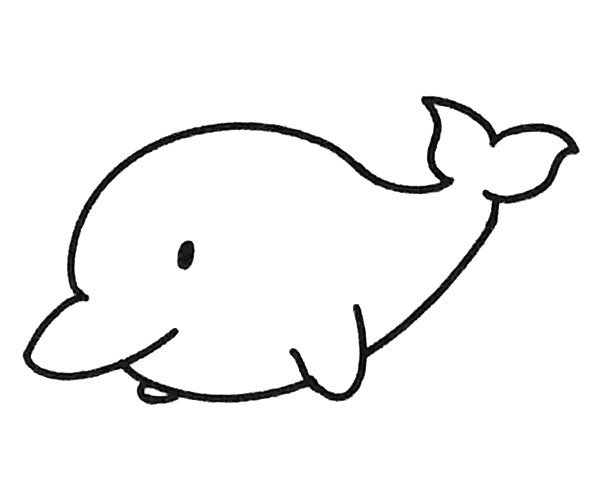 一组可爱的海豚简笔画图片