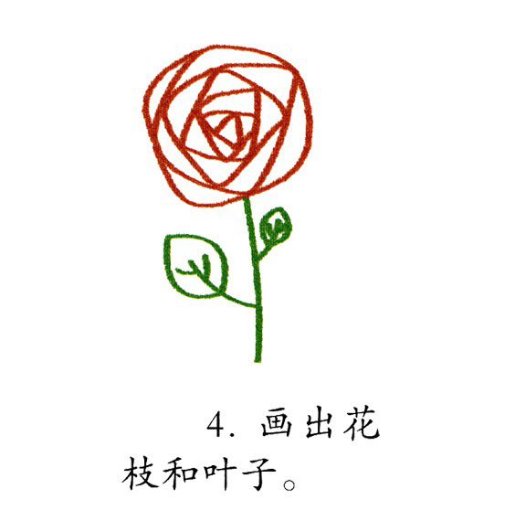 幼儿简笔画 漂亮的玫瑰花