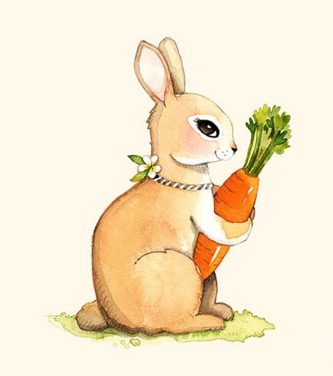 抱着胡萝卜的小兔子动物美术画图片赏析