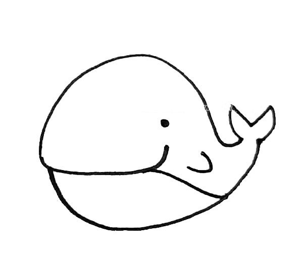 第四步：中间画过来一条弧线作为肚皮，再画上鲸鱼的手。