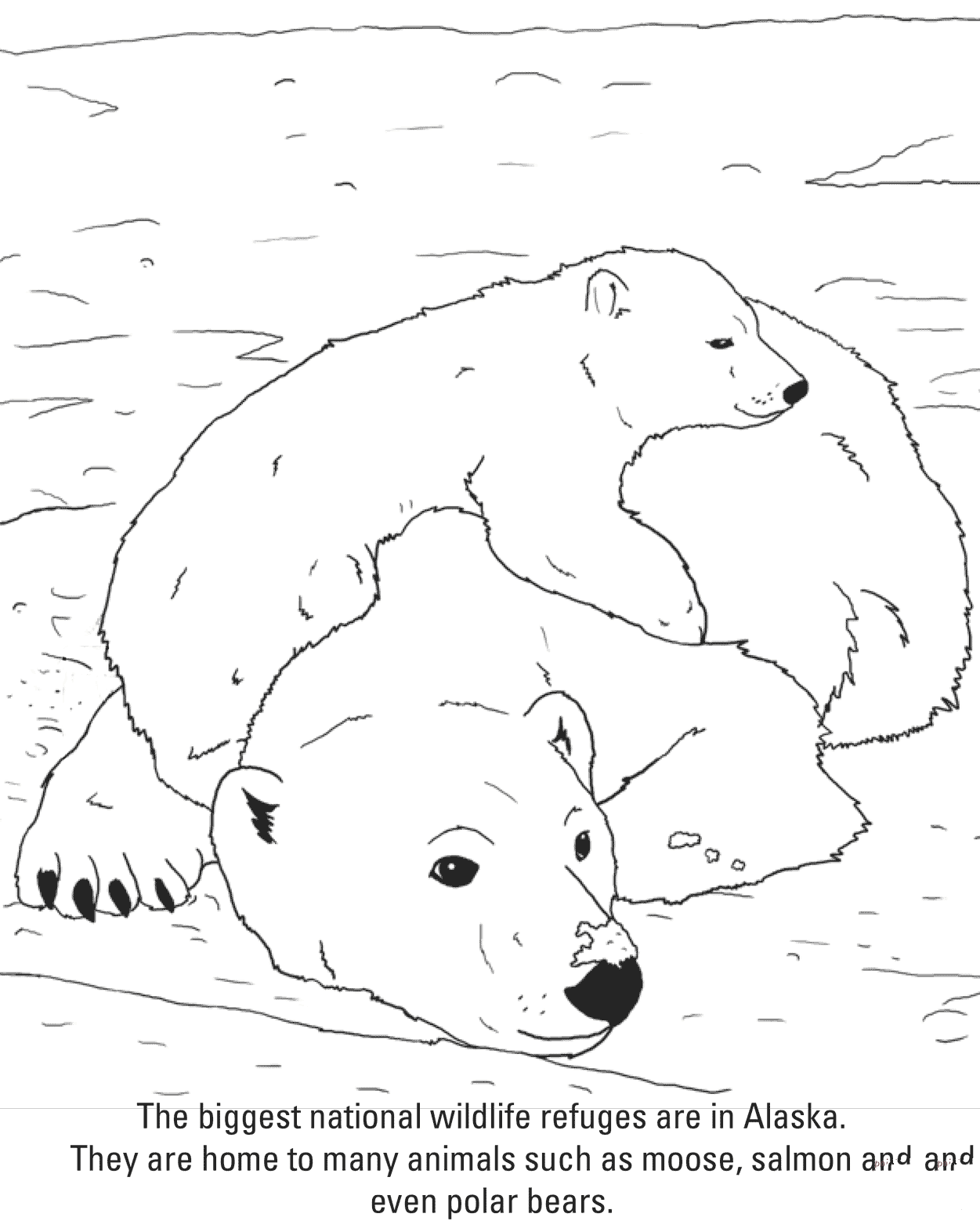 悠闲的北极熊母子