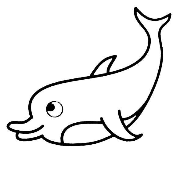 海洋生物简笔画 海豚简笔画图片