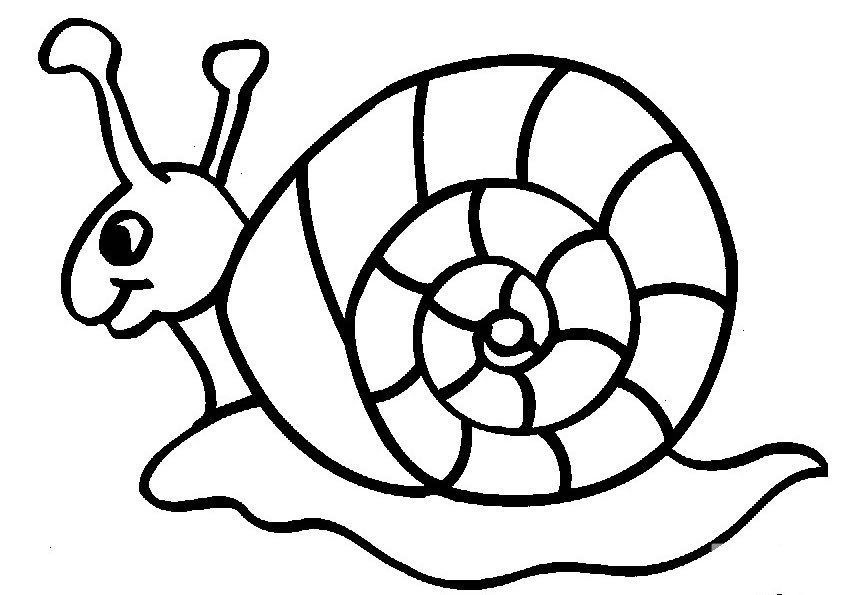 蜗牛简笔画图片2