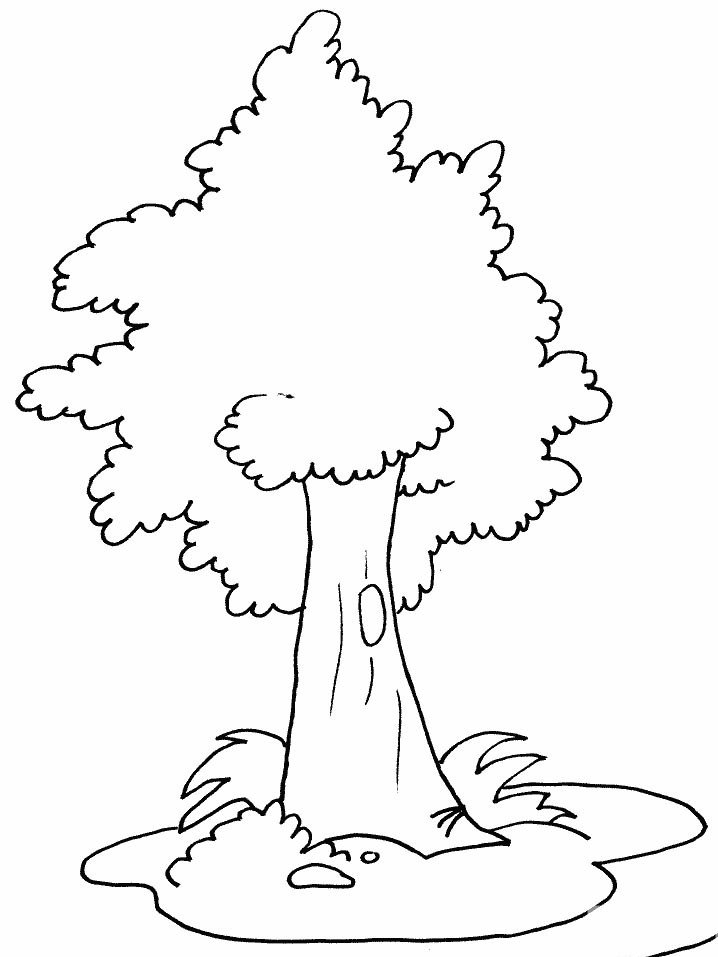 如何画大树 茂密的大树简笔画