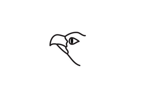 2.画出老鹰的嘴和头部轮廓。