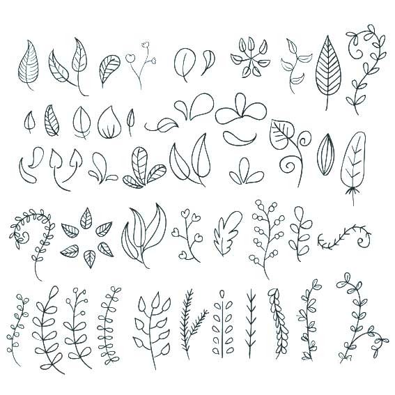 各种植物叶子简笔画