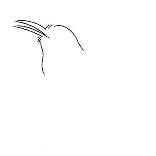 1.画出喜鹊的头部和又细又长的喙。