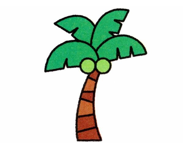 椰子树的画法