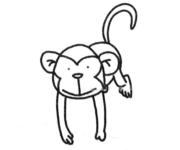 可爱的猴子简笔画图片5