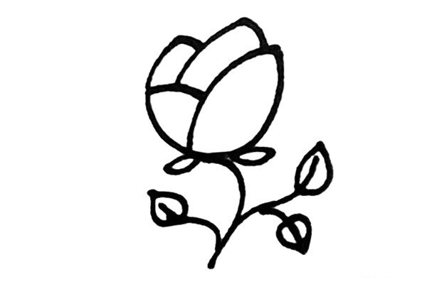 第五步：画上玫瑰花两边的分枝和叶子，叶子大小可以是不一样的。