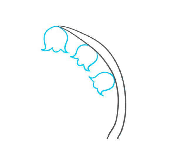 2.画上3多漂亮的铃兰花