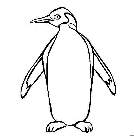 动物简笔画大全 快乐的企鹅简笔画图片