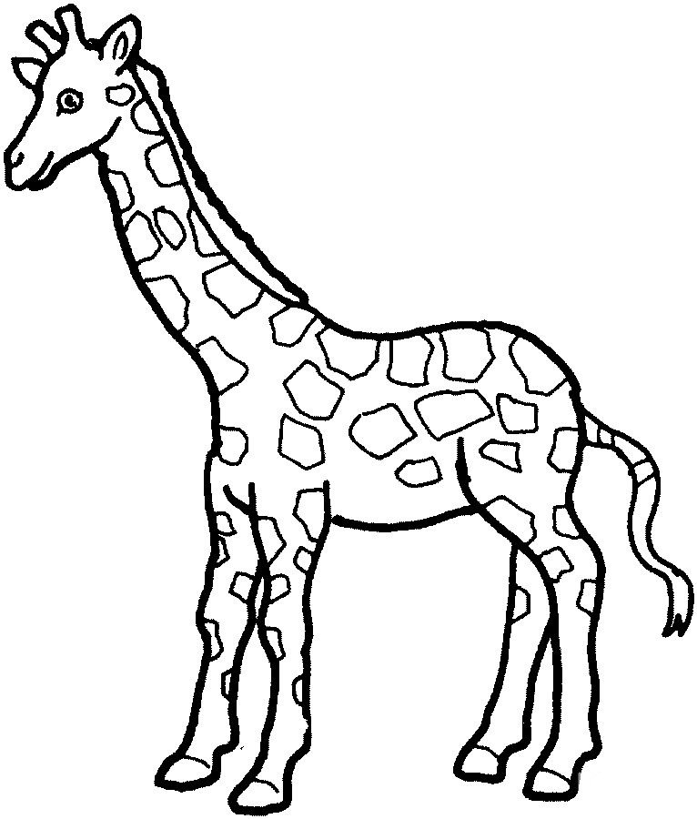 小学生长颈鹿简笔画