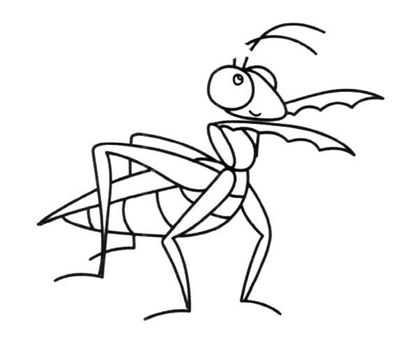 螳螂简笔画图片
