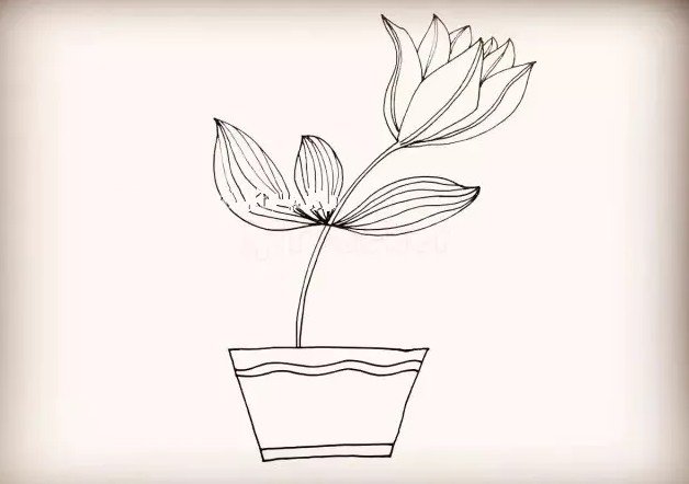 第八步 再来把它的花盆装饰一下.两条弧线一条横线。