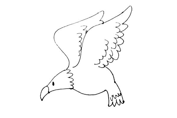第六步：在弧线的断口处，画下来两条竖线，并用波浪线连接，里面也画上波浪线，形成老鹰的尾毛。