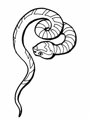 关于小蛇简笔画