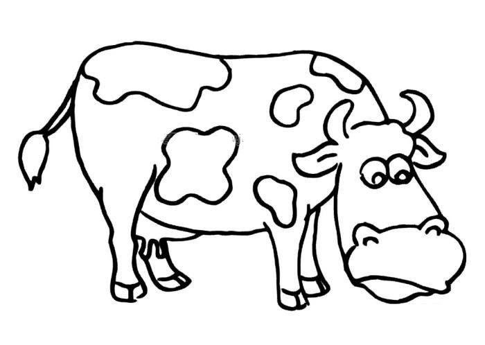 吃草的奶牛简笔画