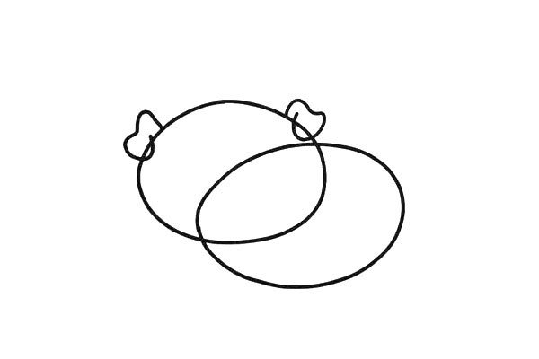 1.首先画一个大大的圆形头部，后面一个椭圆是小猪身体，两个又大又卷的猪耳朵。